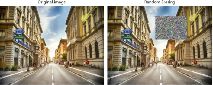 Figure 10: Randomly erasing parts of input images in order to increase regularization (Zhong et al