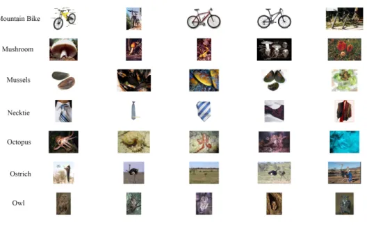 Figure 3.1: Examples for binary classification
