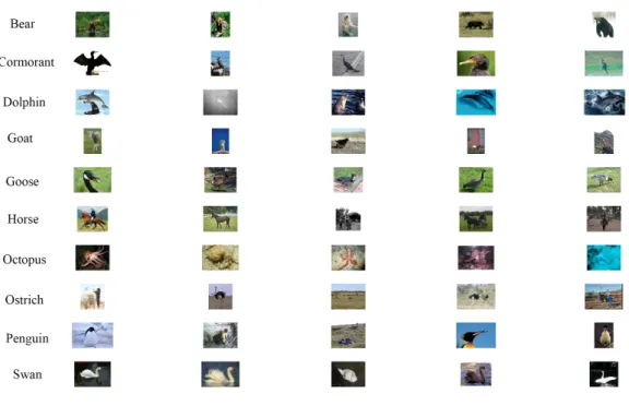 Figure 3.2: Examples of Group A (Animal Class) for multi-class classification