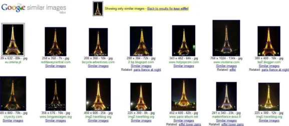 Fig. 2. Example of the retrieval of similar images for a Eiffel tower sample using the Google Similar Images engine (http://similar-images.googlelabs.com/)