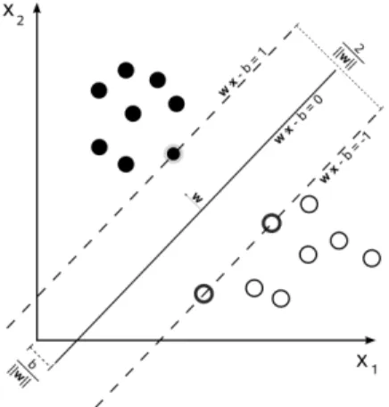 Figure 1: Classification using support vector machine (SVM).  