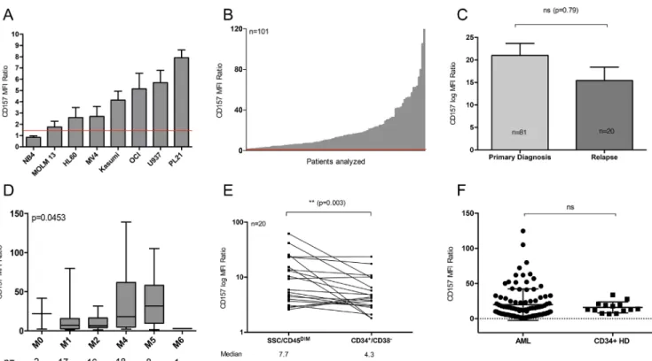 Figure 1: Ubiquitous CD157 expression in AML.  (A + B) Flow cytometry-based CD157 expression analysis (A) on 8 AML  cell lines and in (B) 101 primary AML patient samples at primary diagnosis or relapse
