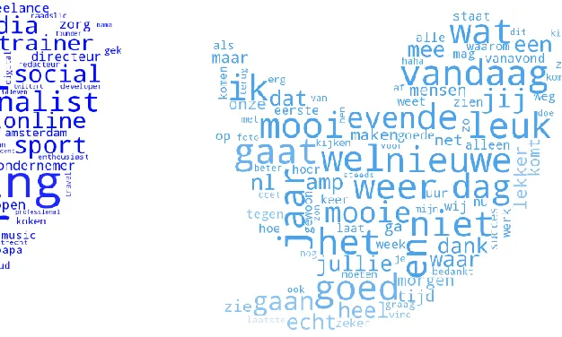 Figure 7 - 100 Most frequently used words in profile 