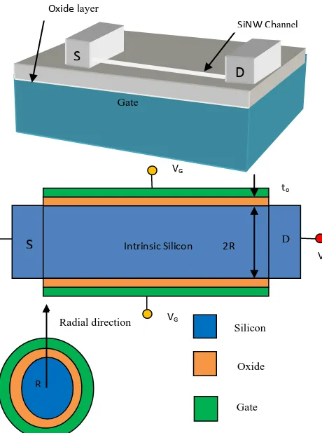 Figure (1)- Ideal GAA SiNW MOSFET: Cross sections  along source to Drain and along Radial direction