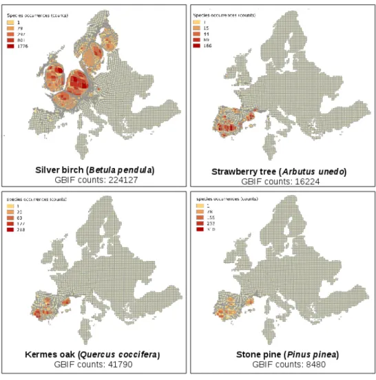 Figure 1. Cartograms of observations of four tree species (data extracted from GBIF). The colour bar  corresponds to the number of occurrences per grid cell, and the shape deformation corresponds to  differences in sampling effort, that is, smaller cells i