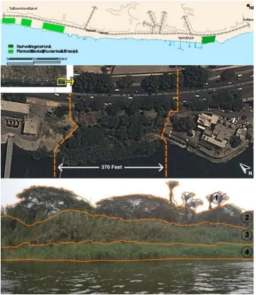 Fig. 9. Nile Cruses. 
