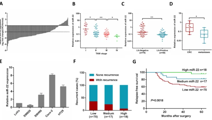 Figure 1: MiR-22 level is associated with CRC progression, metastasis and relapse.  (A) Comparison of miR-22 expression 
