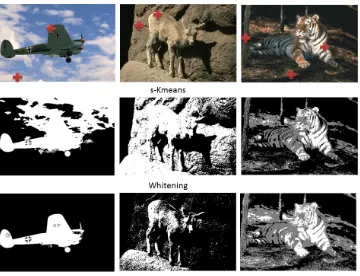 Figure 8: Figure comparing the performance of image segmentation by Whitening (row3) and s-Kmeans (row 2) algorithms, with images selected from the BSDS500data set