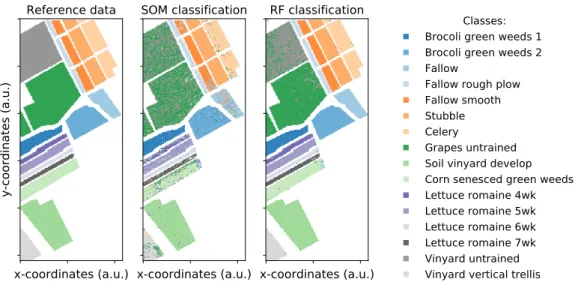 Figure 3.10: Map of the reference data (left) and the classification result of the classification SOM (center) and the Random Forest (RF) classifier (right) on the Salinas Valley dataset.