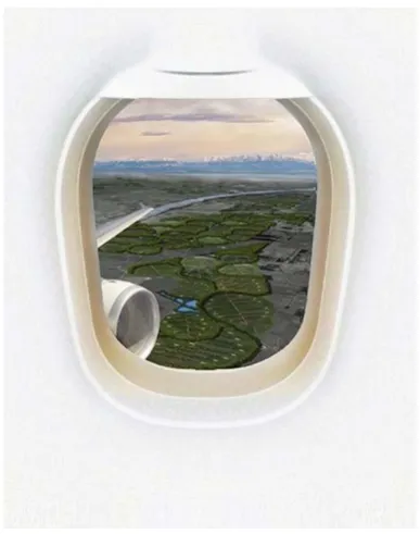 Figure 7. Whenua Hou Distributed Forest, Canterbury Plains, www.designlab.ac.nz 