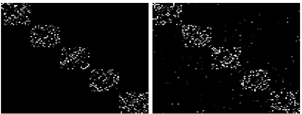 Figure 2: Illustration of LASSO-Subspace Detection Property/Self-Expressiveness Prop-erty