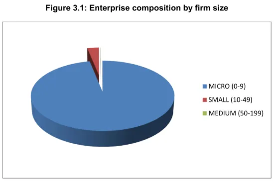 Figure 3.1: Enterprise composition by firm size 