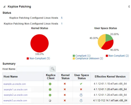 Figure 4-10    Ksplice Patching Status