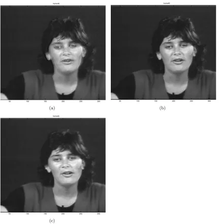 Figure 8: (a) and (c) demonstrate the reconstruction achieved by dynamical variationalGP-LVM and NN respectively for one of the most challenging frames (b) of the‘missa’ video, i.e