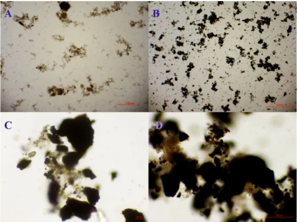 Figure S5. Electron microscopy images of the sludge mixture after CE process in the two  experiments:  (A)  Control;  and  (B-D)  Biochar  with  75~150  μm  particle  size