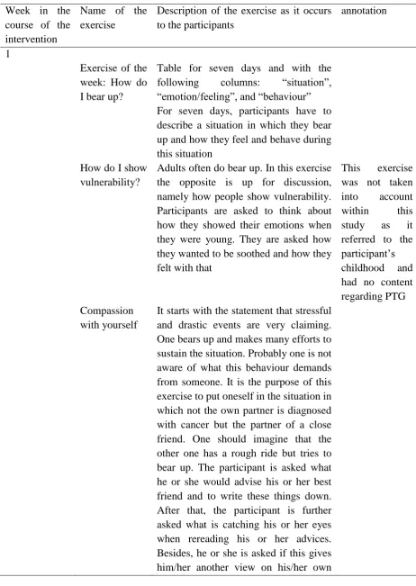 Table B1. Overview of all exercises within the intervention “Hold on, for each other” 
