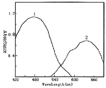 Fig. -1: Absorption spectra of BPHA and itsCo(II) chelate: (1) BPHA -CTMAB  blankagainst water; (2) BPHA Co (II)-CTMABcomplex against reagent blank.