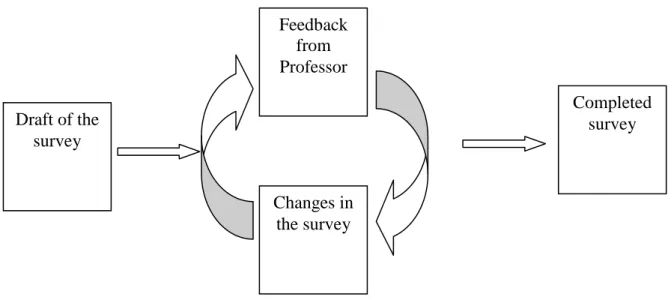 Figure 5.1: Survey quality assurance process 
