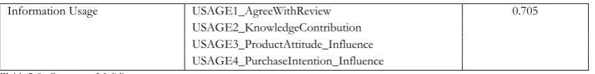 Table 5-8: Convergent Validity 