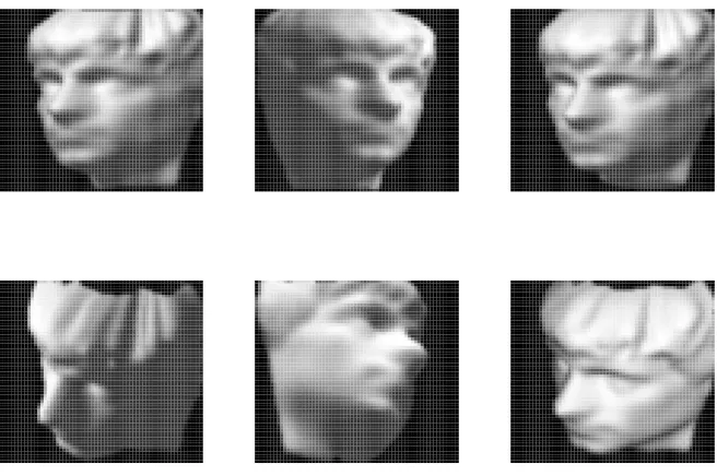 Figure 7: Representative images from the Isomap face data.