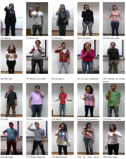 Figure 6: Data set gesture categories.