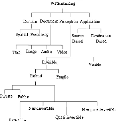 Figure 2. Watermarking Types 