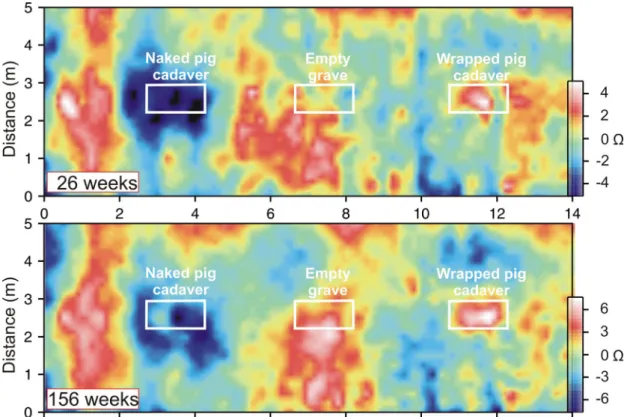 Figure 2.  Map view examples of fixed-offset (0.25 m spaced) resistivity data over a  naked pig cadaver (left), empty grave (middle) and wrapped pig cadaver (right)  respectively that were buried in semi-urban sandy soil