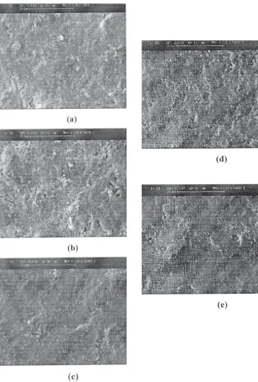 Fig. 6: SEM images of Pb1-xSrxZrO3 ceramics sintered at 1000°C for 2 h [(a) x = 0, (b) x = 0.05, (c) x = 0.10 and (d) x = 0.15]