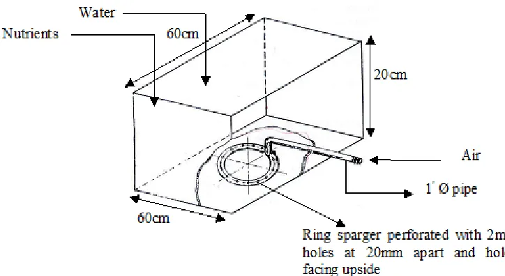 Fig. 1: Bioremediation cell