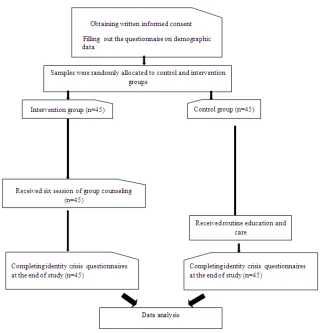 Fig. 1. CONSORT flowchart 