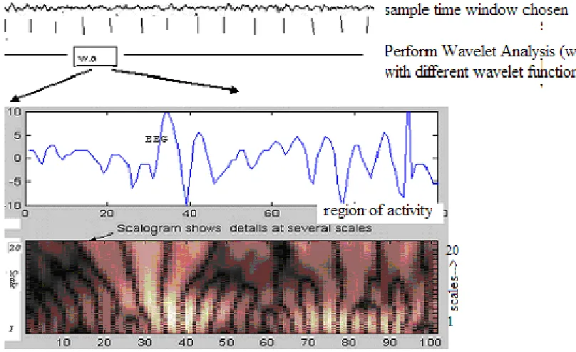 Fig. 4: Scalogram shows  the wavelet coefficients as intensity plot