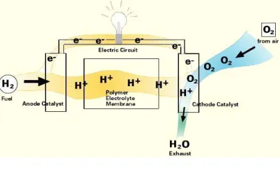 Fig. 1: Fuel cell