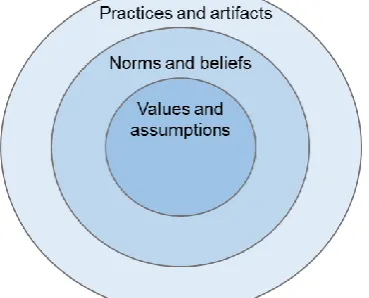 Figure 2 . Levels of culture. Adapted from Bishop et al. (2006).  