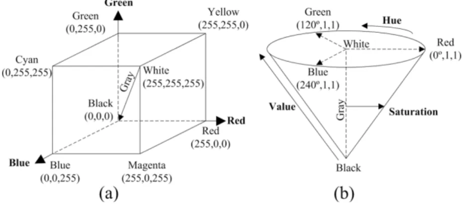 Figure 2.2.1: RGB (a) and HSV (b) coordinates