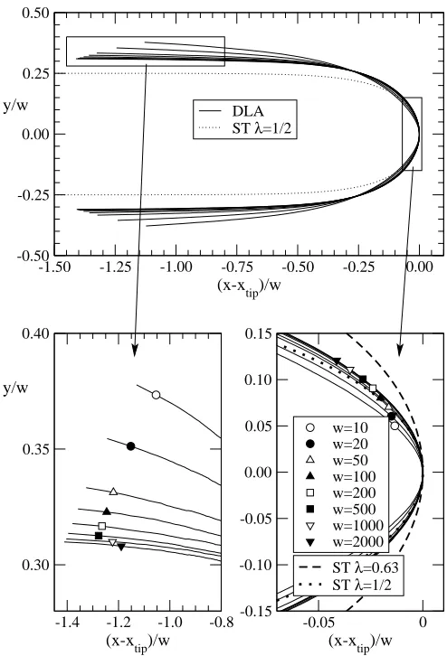 FIG. 4:Finite size scaling of the ﬁnger ﬁlling ratioξ50gives the extrapolationwﬁnger(ξ)/w, measured at a few ﬁxed ξ values