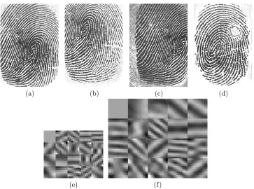 Figure 7: (a)(b)(c)(d)Sample images of ﬁnger print.(e) Decomposition ﬁlters learnedwith support size 7 × 7