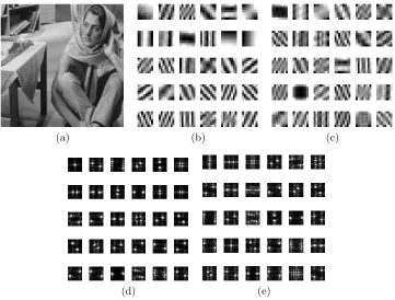 Figure 8: (a) Input image of size 512×size 8512. (b) 30 decomposition ﬁlters with support × 8