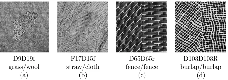 Figure 1: Test images created from Brodatz collection