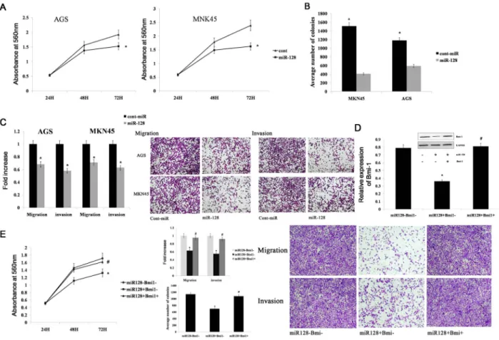 Figure 5: miR-128 inhibits gastric cancer migration, invasion, and proliferation by targeting Bmi-1