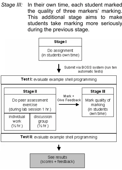 Figure 1 Peer assessment process 