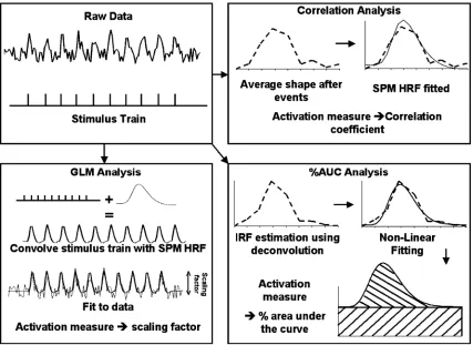 Fig. 1. The three different analysis techniques are depicted: the correlation analysis (top right), the GLM analysis (bottom left) and the %AUC analysis (bottomright).