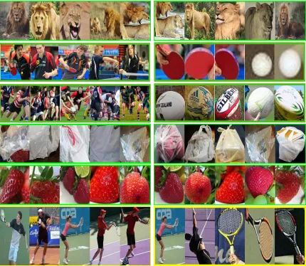 Figure 7: Example discovered bounding boxes learned using our method. Left side showsthe discovered boxes after ﬁne-tuning with images in classiﬁcation settings only, and rightside shows the discovered boxes after ﬁne-tuning with auxiliary strongly labeled