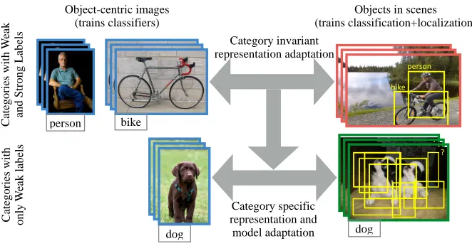 Figure 1: We learn detectors (models which classify and localize) for categories with onlyweak labels (weak annotations (classiﬁcation to localized region detection.transform the classiﬁers trained for the categories with only weak labels and jointly solve