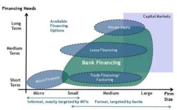 Figure 1: MSME Finance Coverage map 