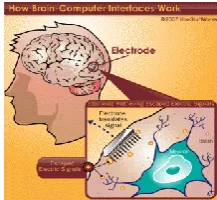 Fig 2: BCI architecture 