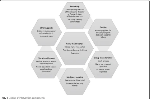 Fig. 1 Outline of intervention components