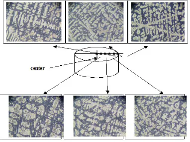 Fig. 9: Solidification microstructure along line on the cross section of specimen C