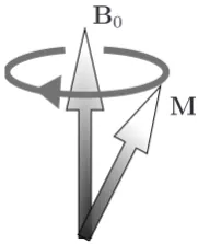 Figure 4: A magnetization Mthat precess around the magneticﬁeld B0 because of spin (rotationaround M).