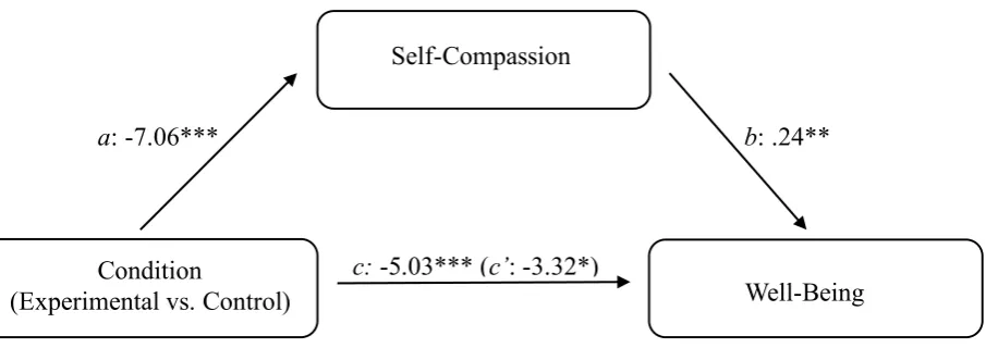 Figure 5. Unstandardized regression coefficients for the relationship between Condition and 
