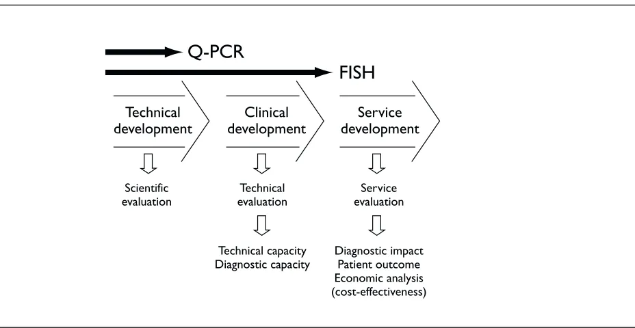 FIGURE 1 The relative stages of development of FISH and Q-PCR at the start of the study